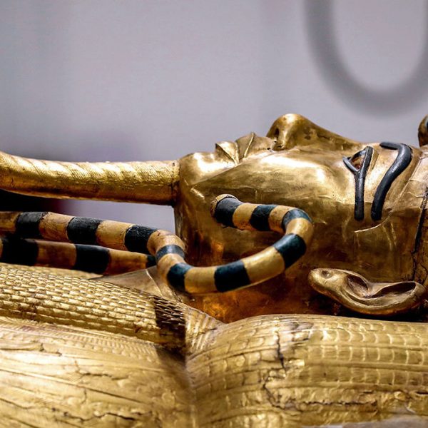 102422_bb_tut_feat-1440x700