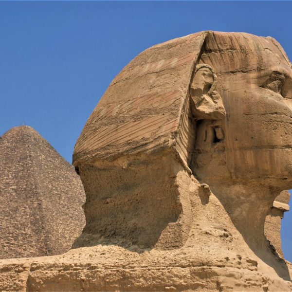 WhatsApp Image 2023-07-19 at 4.13.27 PM